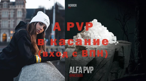 ПСИЛОЦИБИНОВЫЕ ГРИБЫ Аркадак