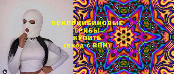 ПСИЛОЦИБИНОВЫЕ ГРИБЫ Аркадак