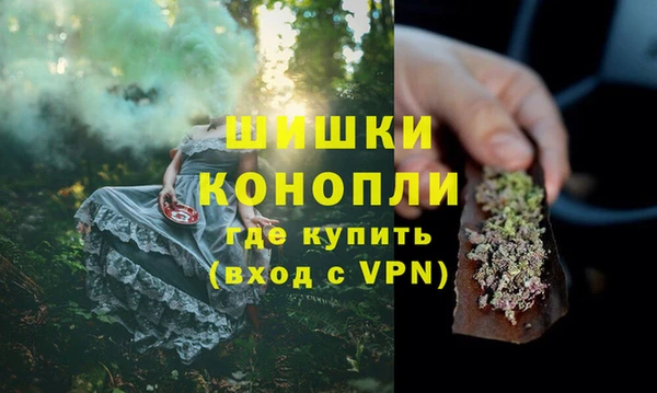 PSILOCYBIN Видное
