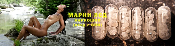 гашик Балахна