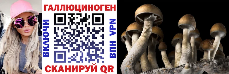 Галлюциногенные грибы MAGIC MUSHROOMS  Бронницы 